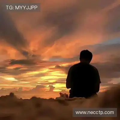 沈良彬